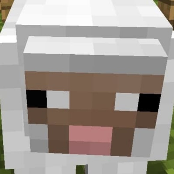 tangysheep